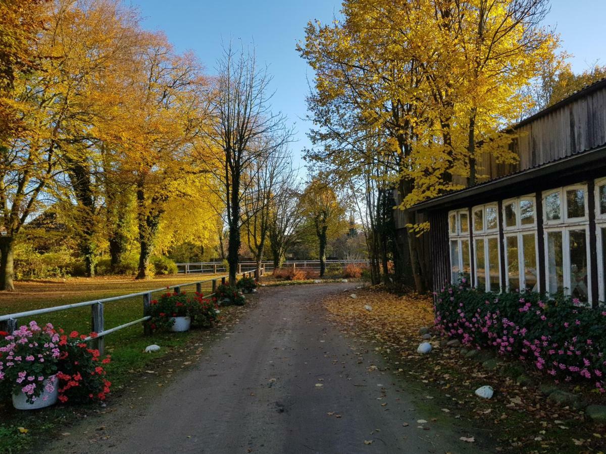 Grosse, Helle Ferienwohnung Mit 2 Balkonen Auf Dem Bauernhof In Der Lueneburger Heide Oetzen Eksteriør billede
